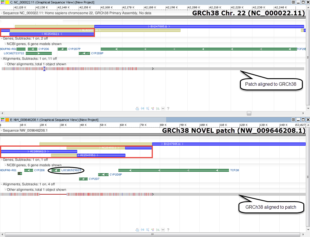 GRCh38.p1 novel patch for CYP2D6