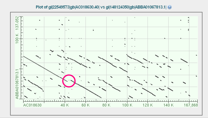 dotmatrix view of GRCh37/HuRef alignment