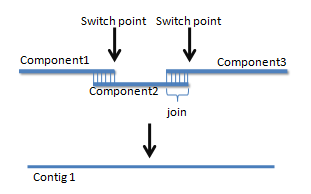 figure showing contig building