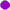 Purple circle