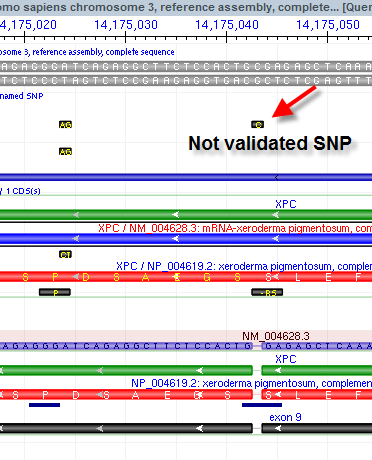 transcript alignment difference genome workbench view