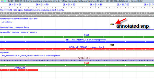 transcript alignment difference genome workbench view