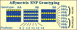 Affymetrix SSO