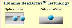 Illumina bead array