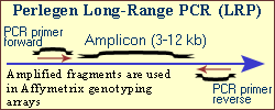 Perlegen Tiled microarray