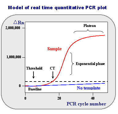 Model PCR plot
