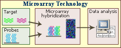 microarray