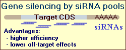 siRNA pool